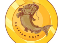 Crypto30x.Com Catfish