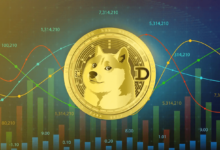 Crypto30x.Com Doge