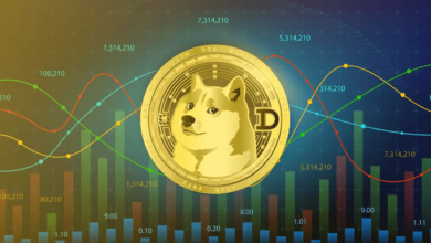 Crypto30x.Com Doge