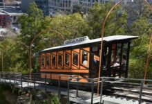 elevate your marketing online