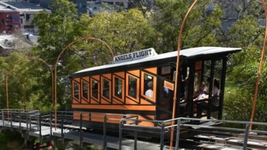 elevate your marketing online