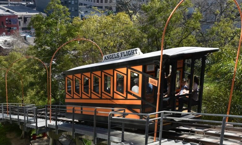 elevate your marketing online