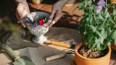 maximize digital growth tools